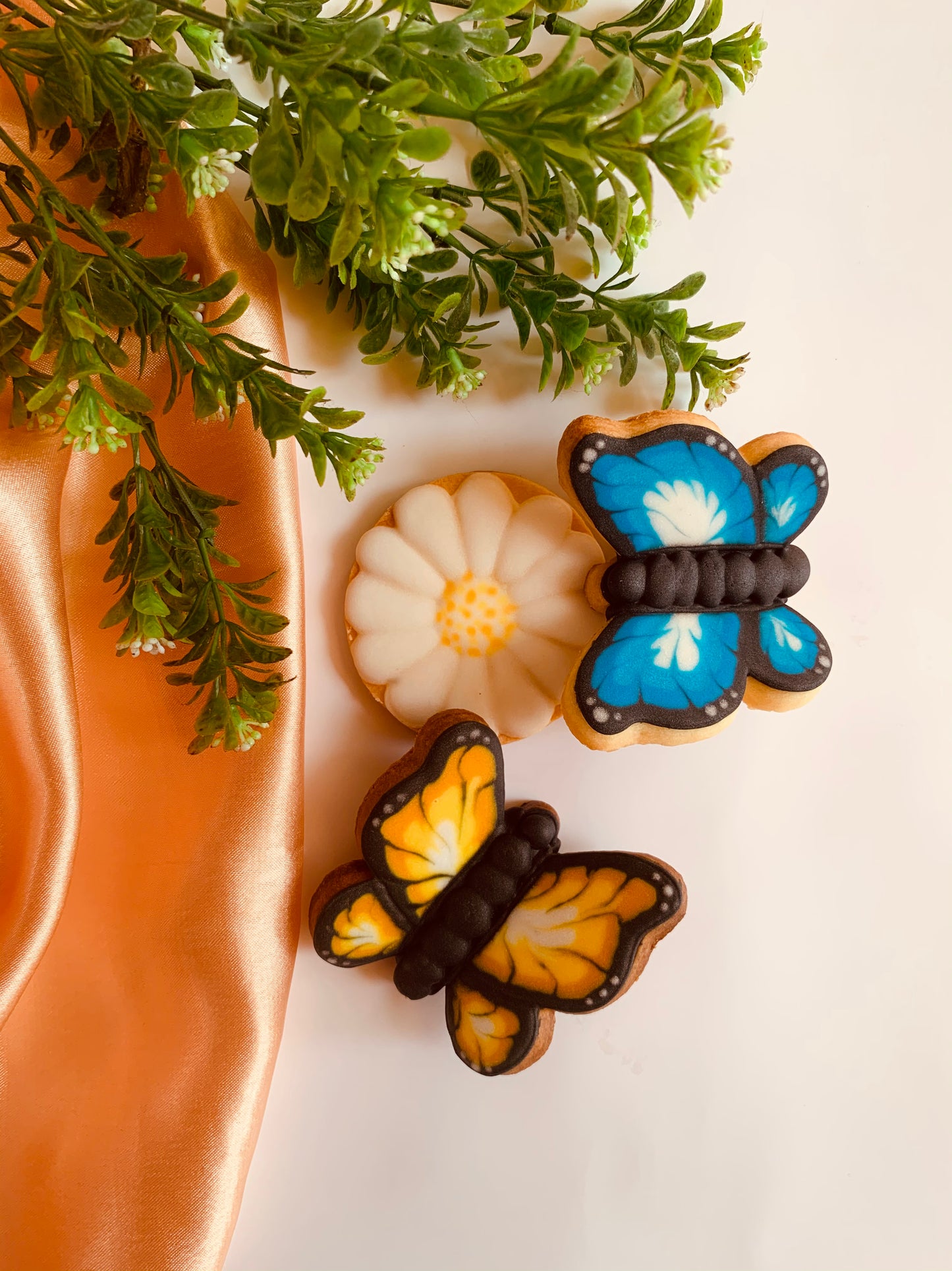 Butterfly 3D Cookies