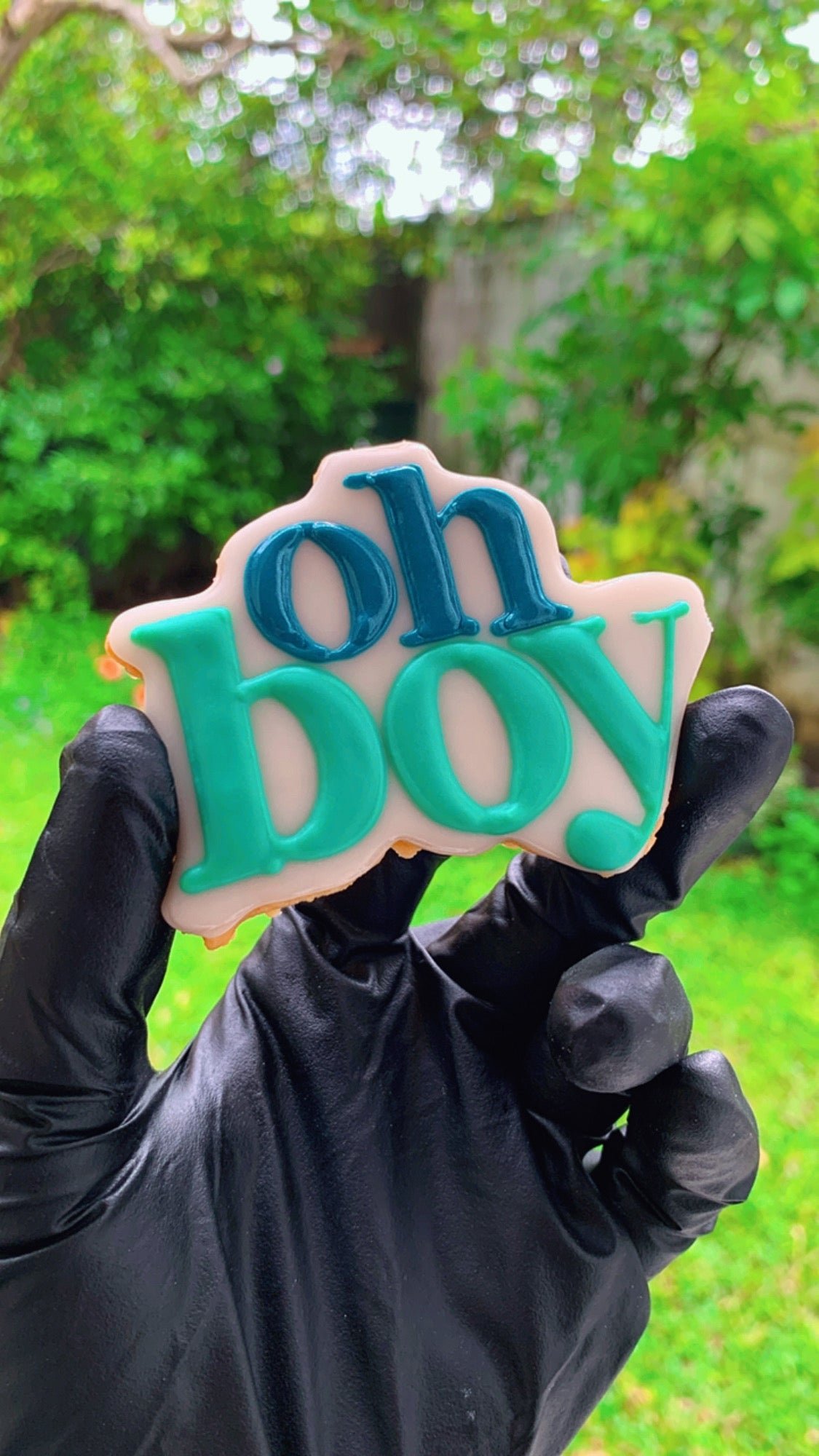 Baby Shower Cookie Set - 2