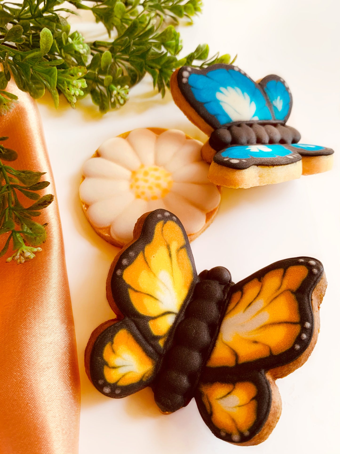 Butterfly 3D Cookies